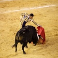 Castellón, Magdalena 2013