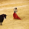 Castellón, Magdalena 2013