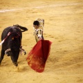 Castellón, Magdalena 2013