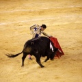 Castellón, Magdalena 2013