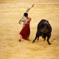 Castellón, Magdalena 2013