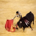 Castellón, Magdalena 2013