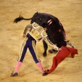 Castellón, Magdalena 2013