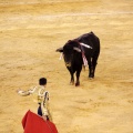Castellón, Magdalena 2013