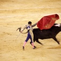 Castellón, Magdalena 2013
