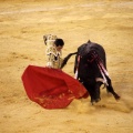 Castellón, Magdalena 2013