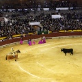 Castellón, Magdalena 2013