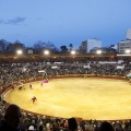 Castellón, Magdalena 2013