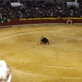 Castellón, Magdalena 2013