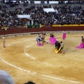 Castellón, Magdalena 2013