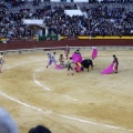 Castellón, Magdalena 2013