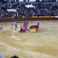 Castellón, Magdalena 2013