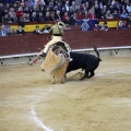Castellón, Magdalena 2013