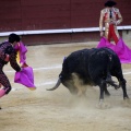 Castellón, Magdalena 2013