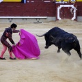 Castellón, Magdalena 2013