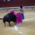 Castellón, Magdalena 2013