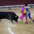 Castellón, Magdalena 2013