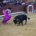 Castellón, Magdalena 2013