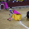 Castellón, Magdalena 2013