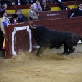 Castellón, Magdalena 2013