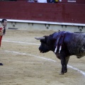 Castellón, Magdalena 2013