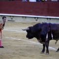 Castellón, Magdalena 2013