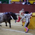 Castellón, Magdalena 2013