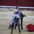 Castellón, Magdalena 2013