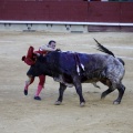 Castellón, Magdalena 2013
