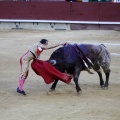 Castellón, Magdalena 2013