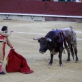 Castellón, Magdalena 2013