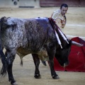 Castellón, Magdalena 2013