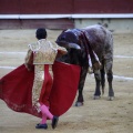 Castellón, Magdalena 2013