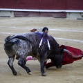 Castellón, Magdalena 2013