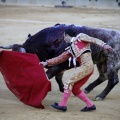 Castellón, Magdalena 2013