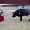 Castellón, Magdalena 2013