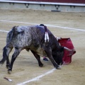 Castellón, Magdalena 2013