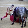 Castellón, Magdalena 2013