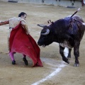 Castellón, Magdalena 2013