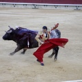 Castellón, Magdalena 2013