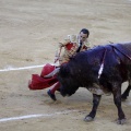 Castellón, Magdalena 2013