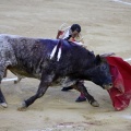Castellón, Magdalena 2013