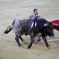 Castellón, Magdalena 2013