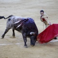 Castellón, Magdalena 2013