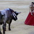 Castellón, Magdalena 2013