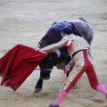 Castellón, Magdalena 2013