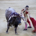 Castellón, Magdalena 2013