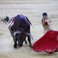 Castellón, Magdalena 2013