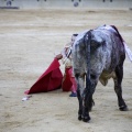 Castellón, Magdalena 2013