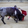 Castellón, Magdalena 2013